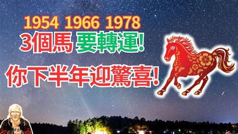 1978生肖配對|屬馬出生年份/幾多歲？屬馬性格特徵+生肖配對+2024。